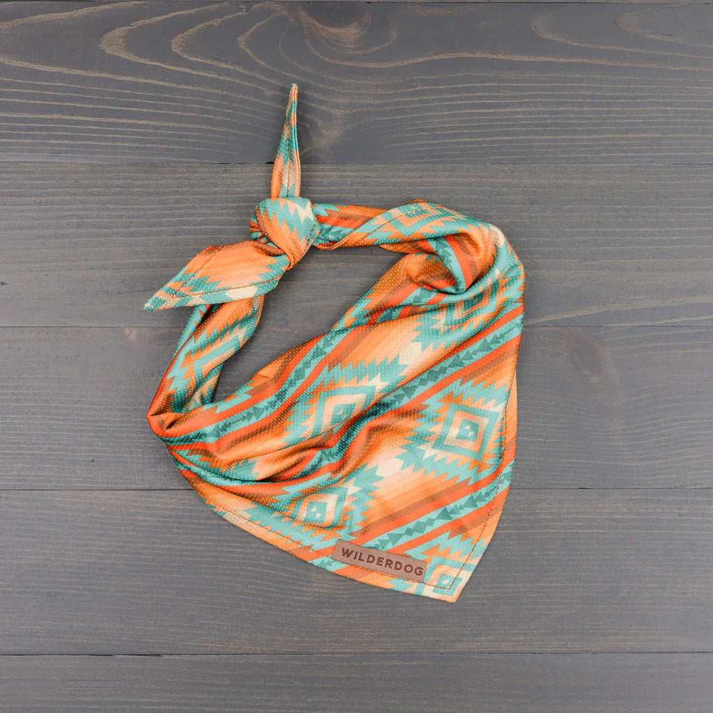 Bandana rafraîchissant - Wilder dog